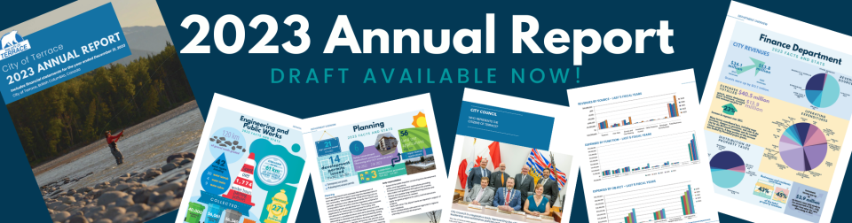 banner with screenshots of several pages inside the annual report